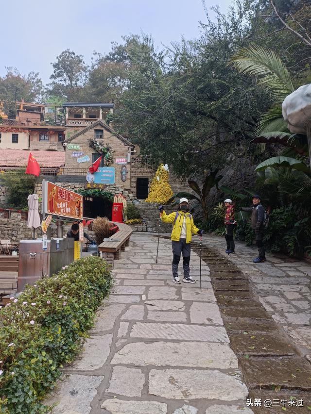 无为在歧路，柿岩之红叶