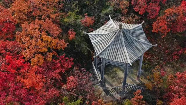 巩义青龙山的秋天美成壁纸，随手一拍都是大片！