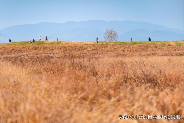 良渚古城一日游攻略｜穿越 5000 年文明，高效打卡世界遗产