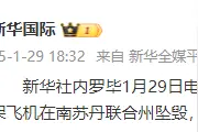 一架飞机在南苏丹联合州坠毁，致18人死亡图片