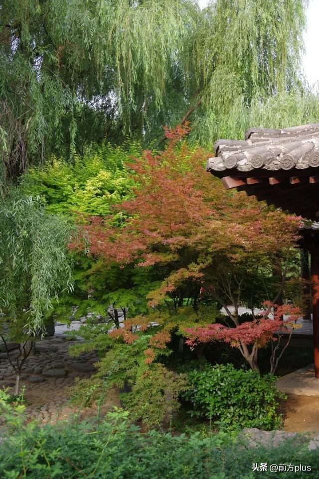 西安这4个宝藏馆！阴雨天去超合适！