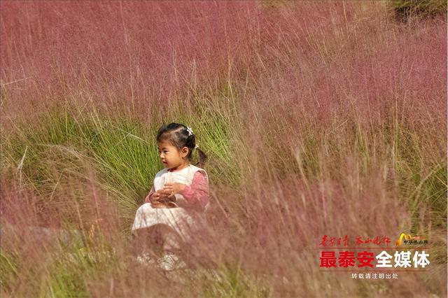 邂逅粉色花海，秋日限定浪漫“上新”