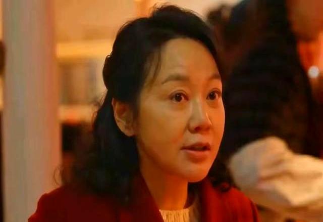 《小巷人家》番外605：图南决定不惯着李佳，不会持续供养她们家