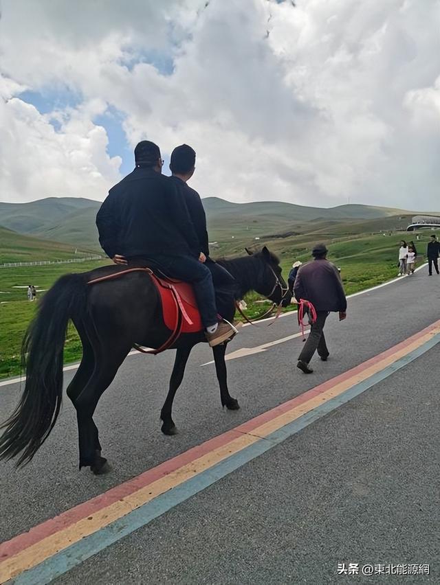 抓住夏天的尾巴，奔向大海草山