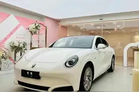 欧拉品牌一手好牌打得稀碎，没了竞争力，一堆“猫”难以赢得市场图片