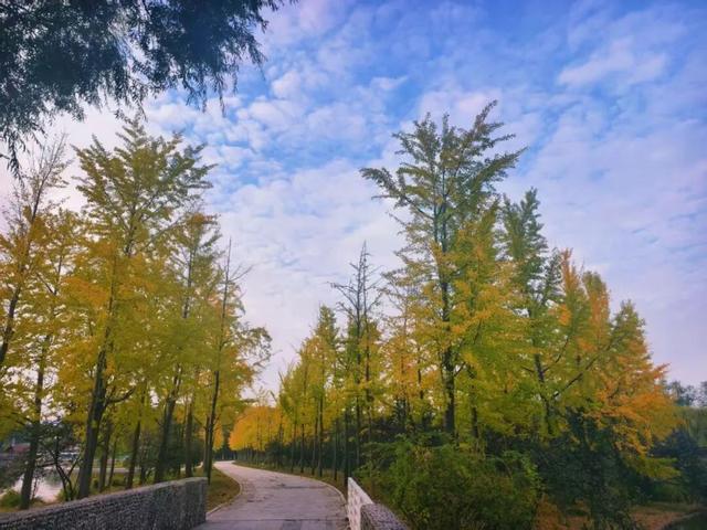 秋韵满园！石家庄市植物园赏秋攻略，请查收→