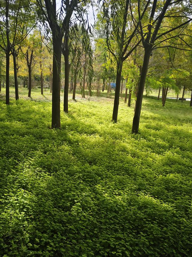 徒步穿越西流湖，赏秋正当时