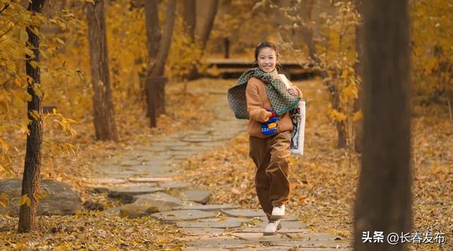 秋韵浸水园 微光与落叶的密语