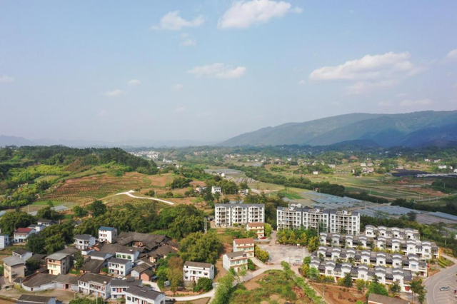 小布丁·早安丨地名里的重庆：八塘，雾漫山樱，墨韵传香