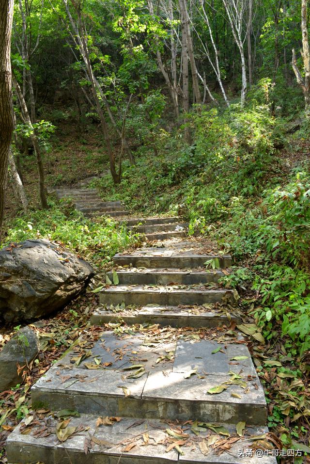 河北百草畔（上）：风动孤石悬险韵，蚁巡深岭蕴生机