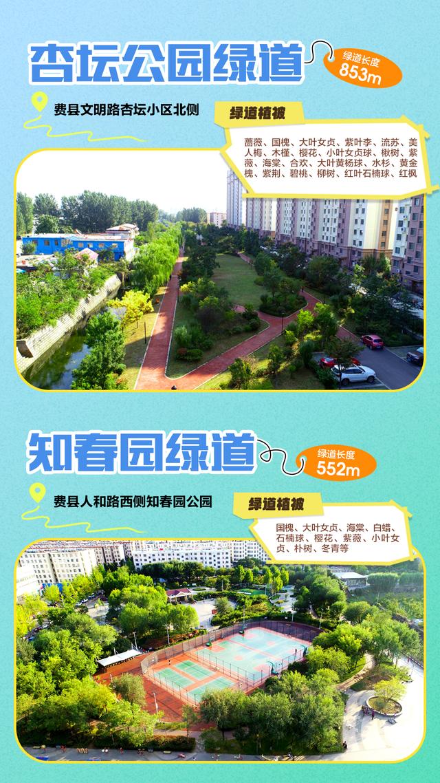 藏不住了！临沂35条诗意绿道，道道有风景，步步皆诗意