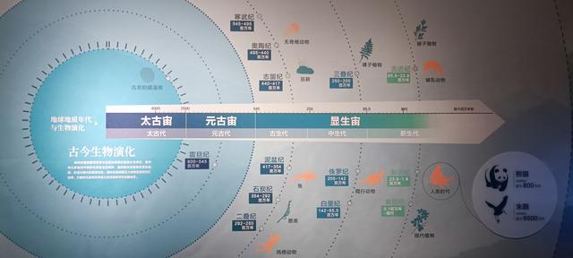那么近，那么美，周末到商洛了——大美商洛秦岭博物馆