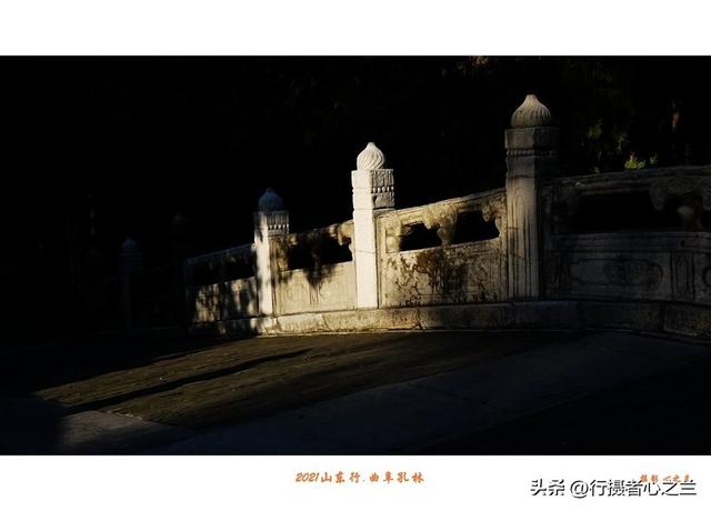 山东行游影记（226）—曲阜孔林（二）