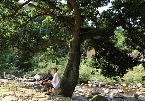 农村一位82周岁老人的心里话