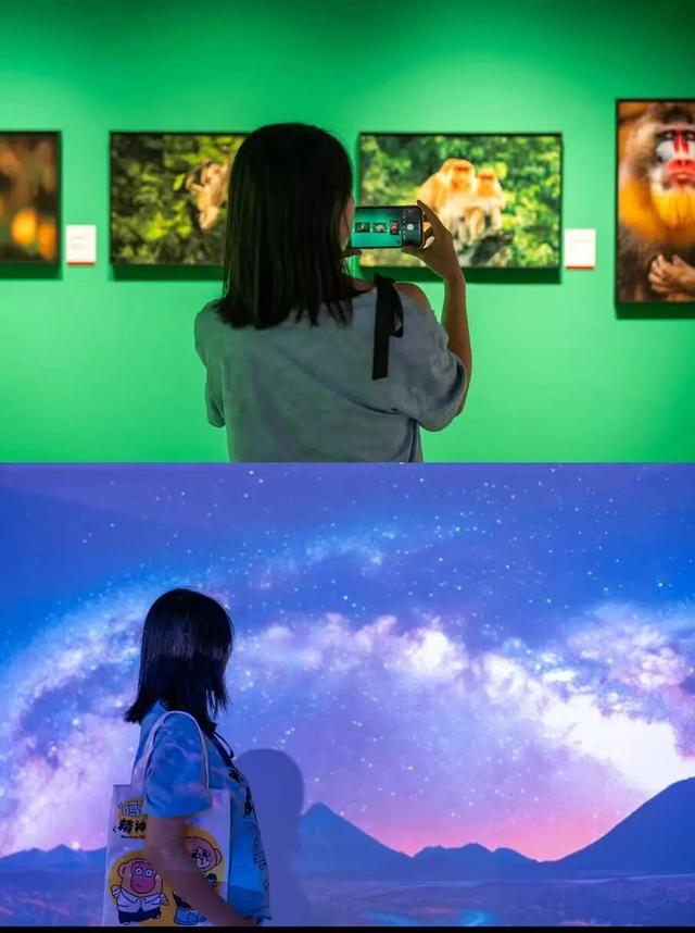 手机内存撑不住了！都怪这条Citywalk路线太好拍（文末福利）
