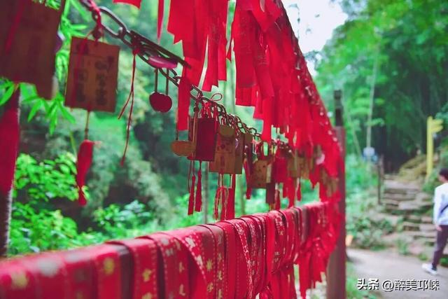 深秋想赴一场“森”系约会？来邛崃就够了！