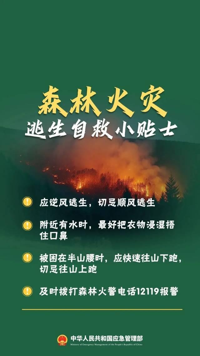 从化晴朗干燥天气维持，森林火险已达最高级！