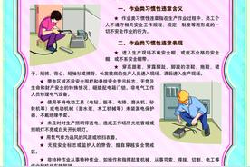 员工习惯性违章及纠正方法图片