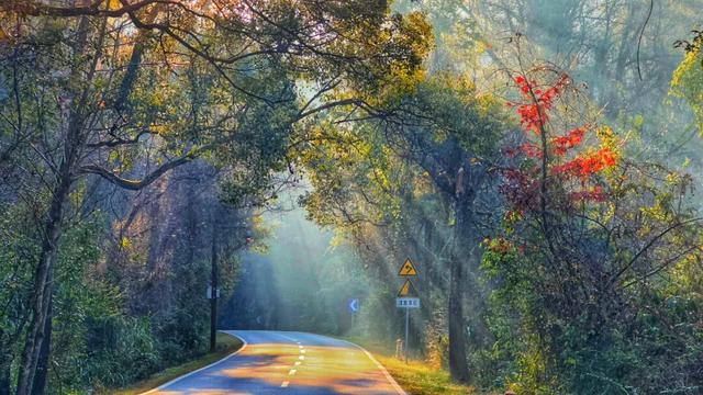 武夷山 | 我就说，这才是过日子~
