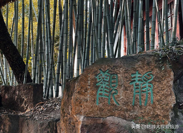 80%人错过的杭州秋冬诗意景点，免费可观西湖，还有绝美打卡处！