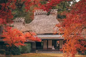 保姆级攻略丨日本签证单次三年五年冲！图片