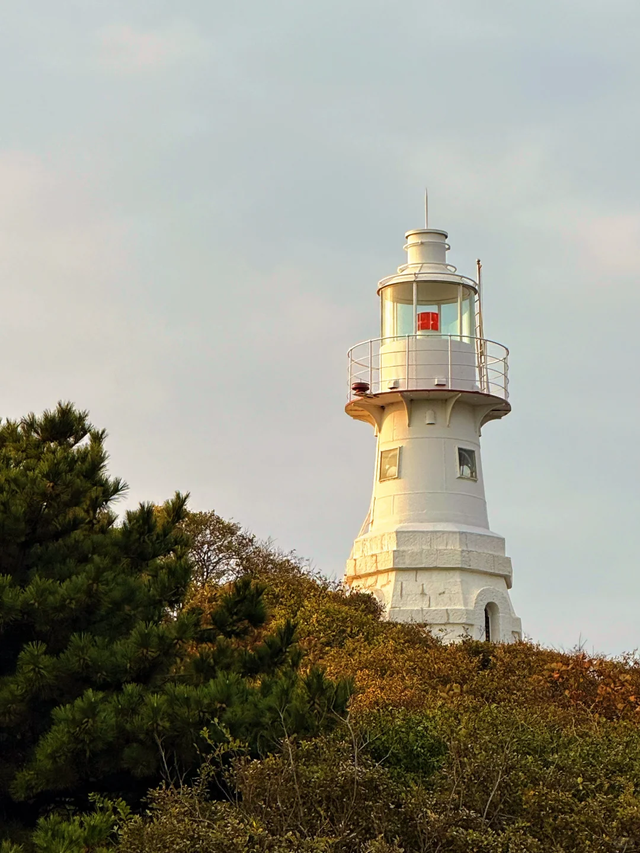 于市南，一日看尽海上花