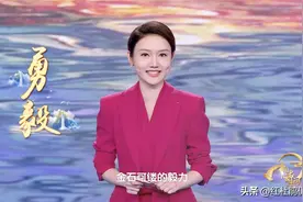 《2024中国诗词大会》第三场，龙洋贡献历届最佳，康震也功不可没图片