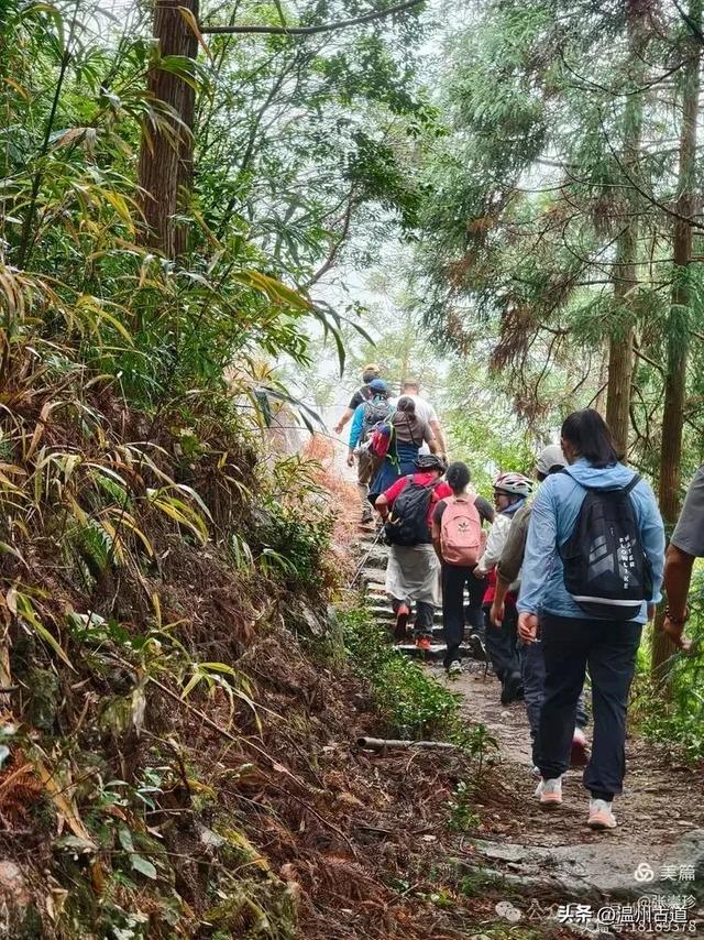 周末徒步去!这个有"温州版武功山"之称的名山,你可要去爬一次