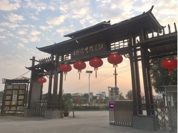 广西武鸣区历史沿革及行政区划