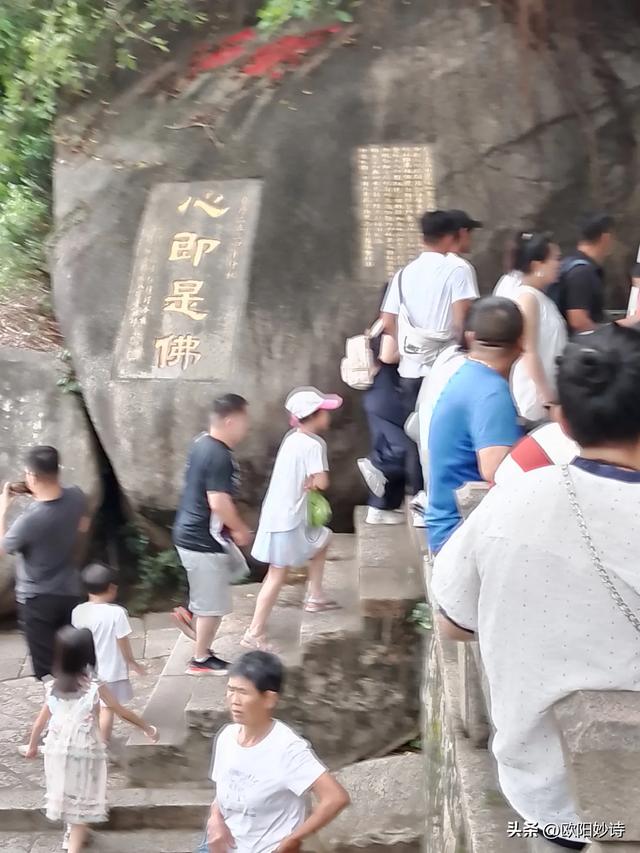 我来夏门去南普通寺卸却“班味”装着“禅意”回烟火人间
