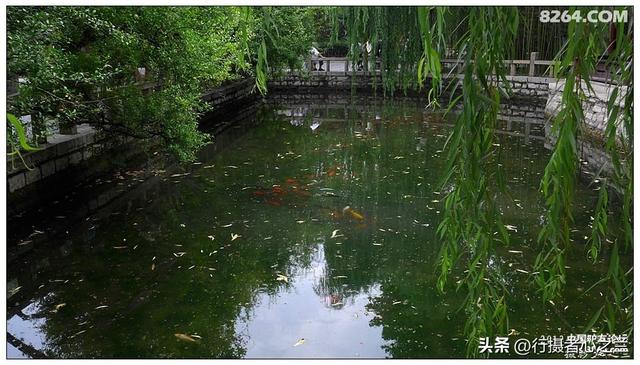 山东行游影记（11）—济南趵突泉（十一）
