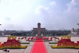 8万羽和平鸽在天安门广场放飞，它们飞到哪里去？有的已经到家了图片