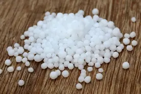 你知道尿液需要放几天可以兑水浇菜？揭秘天然肥料的秘密图片