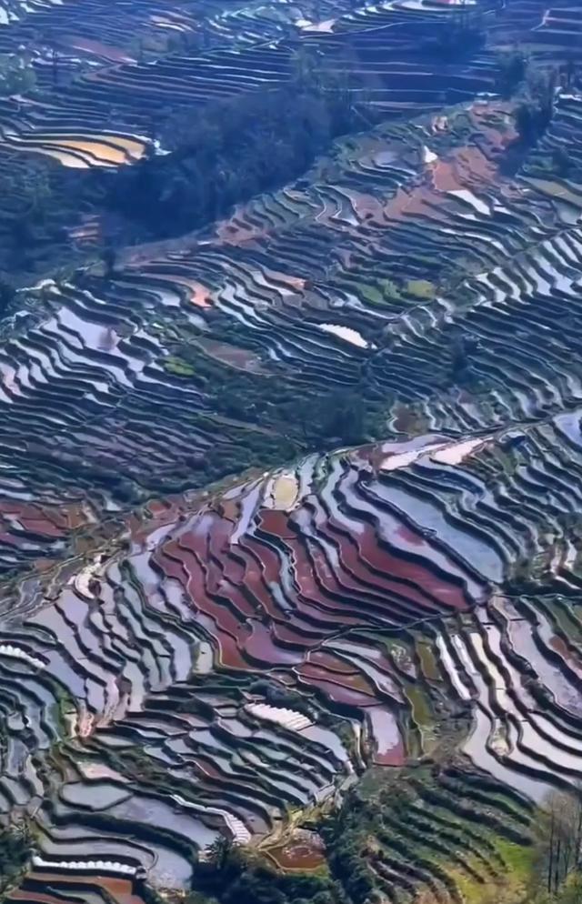 镜映千年元阳哈尼梯田