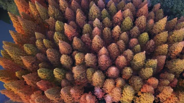 逛起来！8小时10个公园！