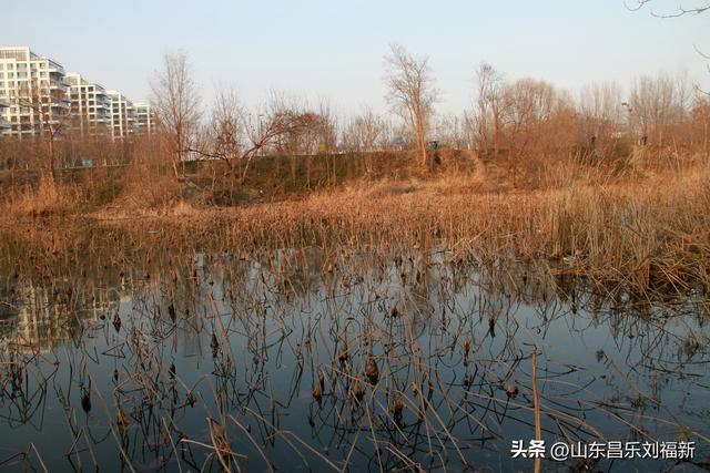 这一次外出闲游感慨颇多