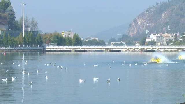 这个静谧小渔村，藏着彩虹桥、木栈道、老渔船、湖光鸥影……