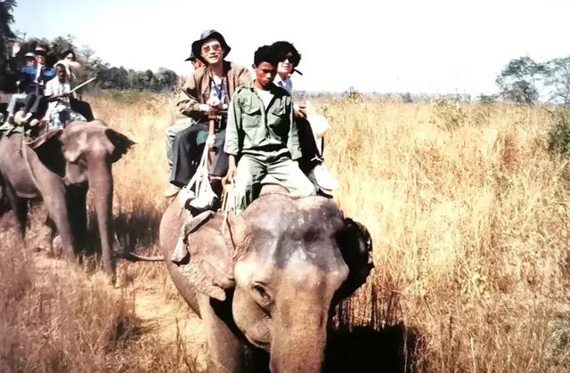 林中漫游——寻访野生动物