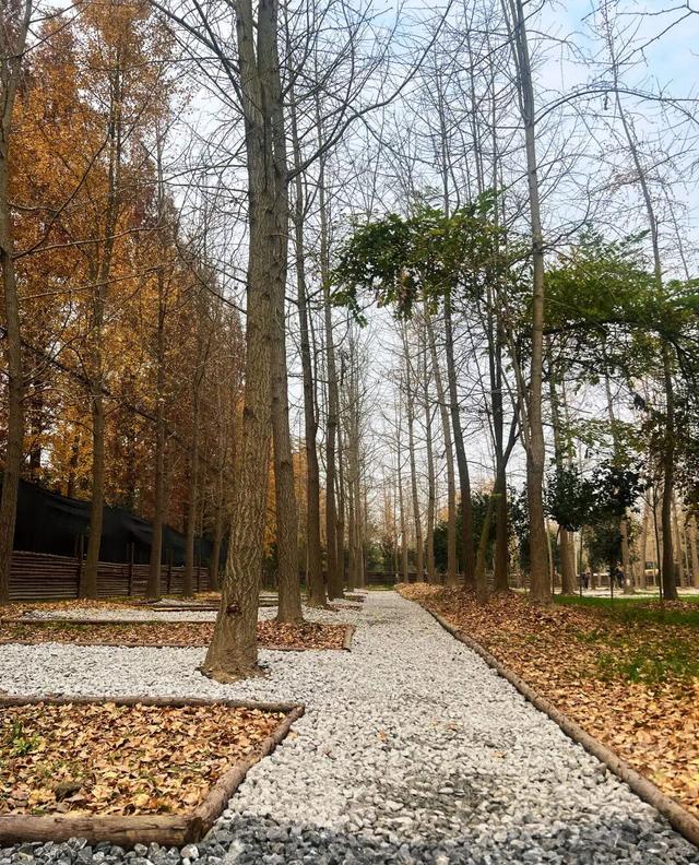 即将正式营业！金堂又将新增一处游玩打卡地！