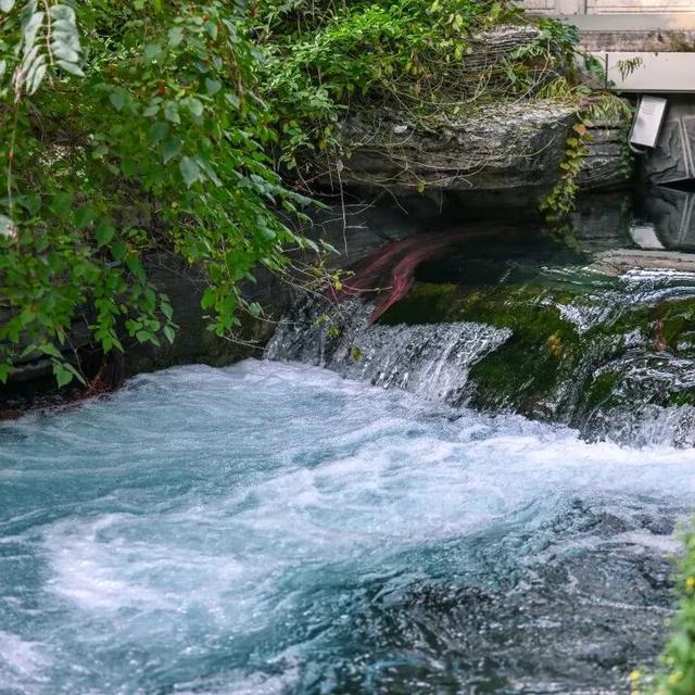 走，去趵突泉！收集秋天最靓的九宫格～