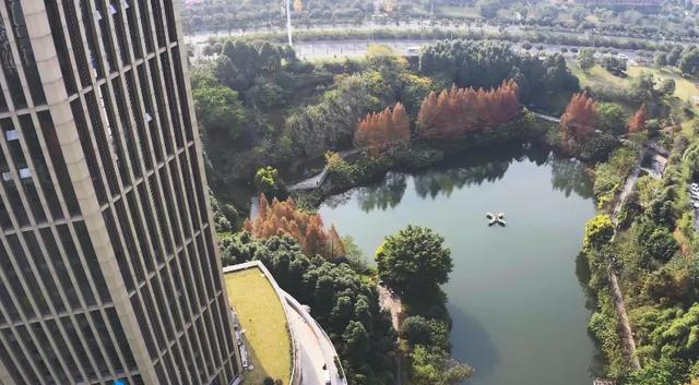 最高气温20℃！重庆人快来这些公园晒太阳