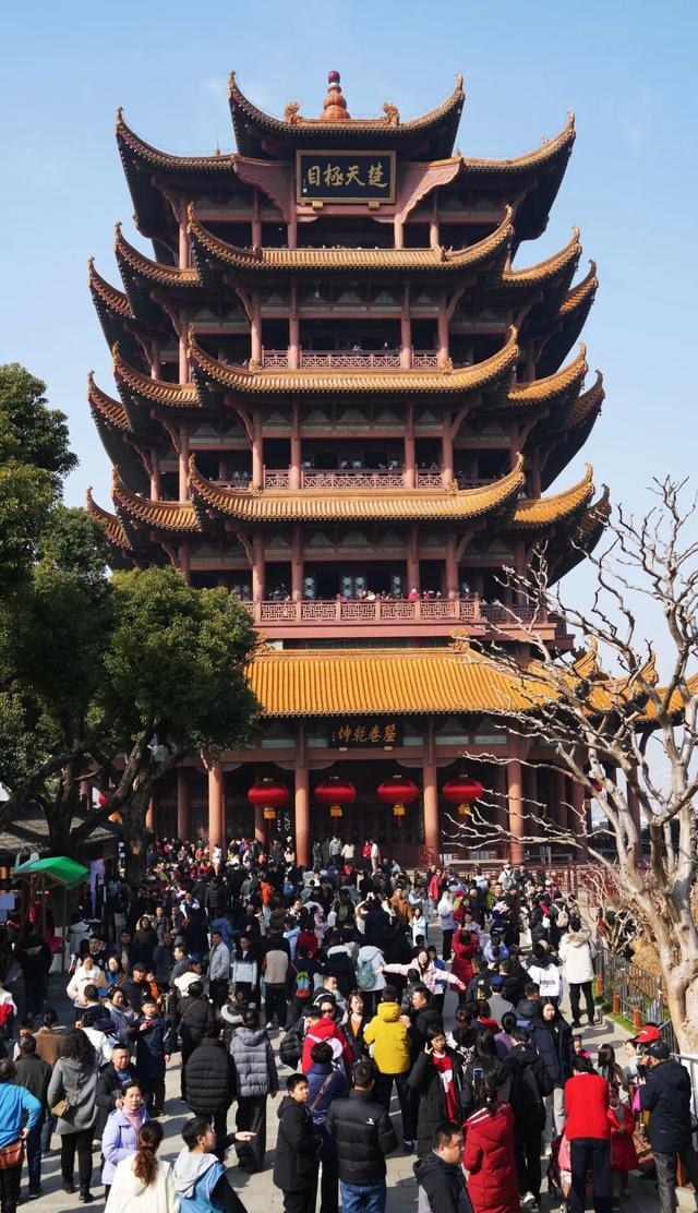 看完心跳加速，一键重温2025楼楼的名场面