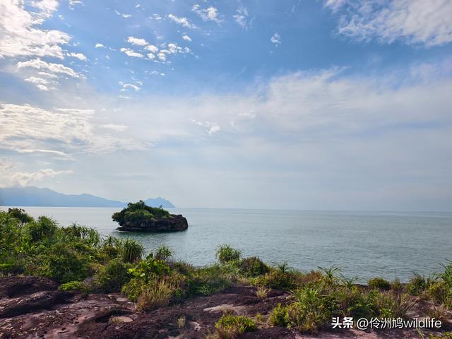 马来西亚(35)砂拉越州⑨峇哥国家公园徒步线路