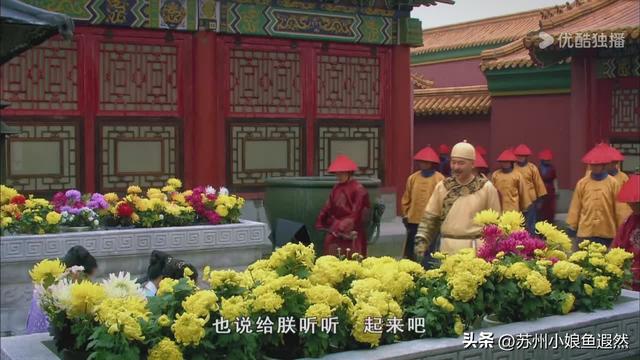 2025苏州狮子林菊展：赴一场比《甄嬛传》存菊堂更盛的秋日菊宴