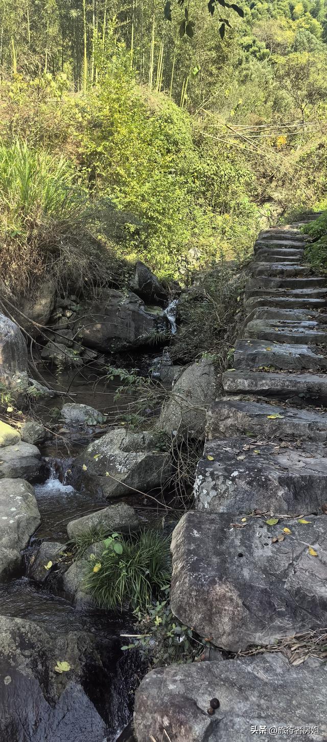 徒步奉化大雷山，古村、古道、梯田、秋景全部包揽