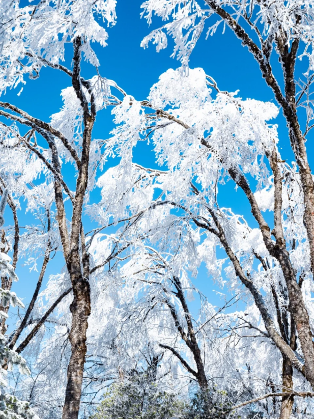 《2025雅安深秋耍事》出炉！这样耍，安逸得很！