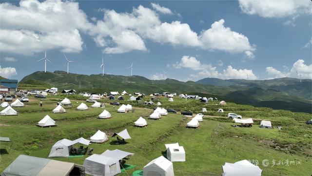 乌蒙大草原是有多凉快？暑期接待游客62.37万人次，创历史新高