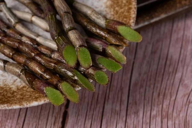 新鲜铁皮石斛多少钱一斤 2025年新鲜铁皮石斛多少钱一斤啊