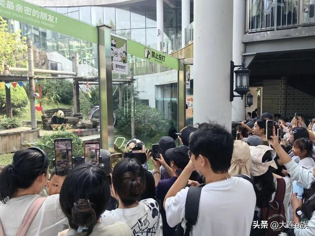 长假第一天，大连太火了！