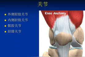 膝关节术后的注意事项：呵护关节，助力康复图片